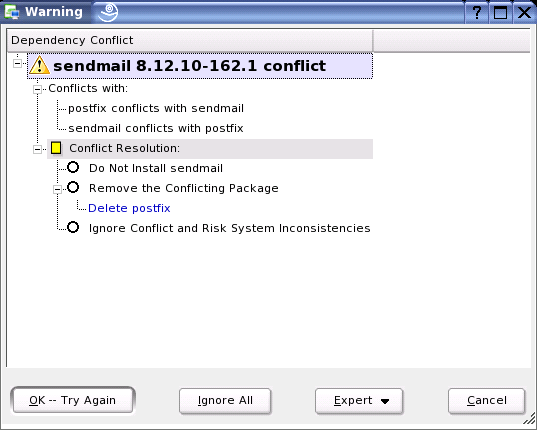 Conflict Management of the Package Manager