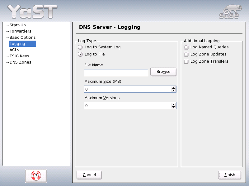 DNS Server: Logging